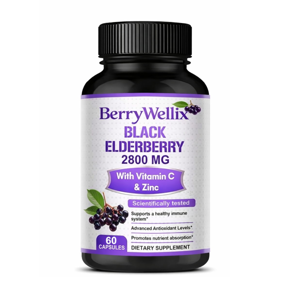 Black Elderberry