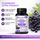 Black Elderberry