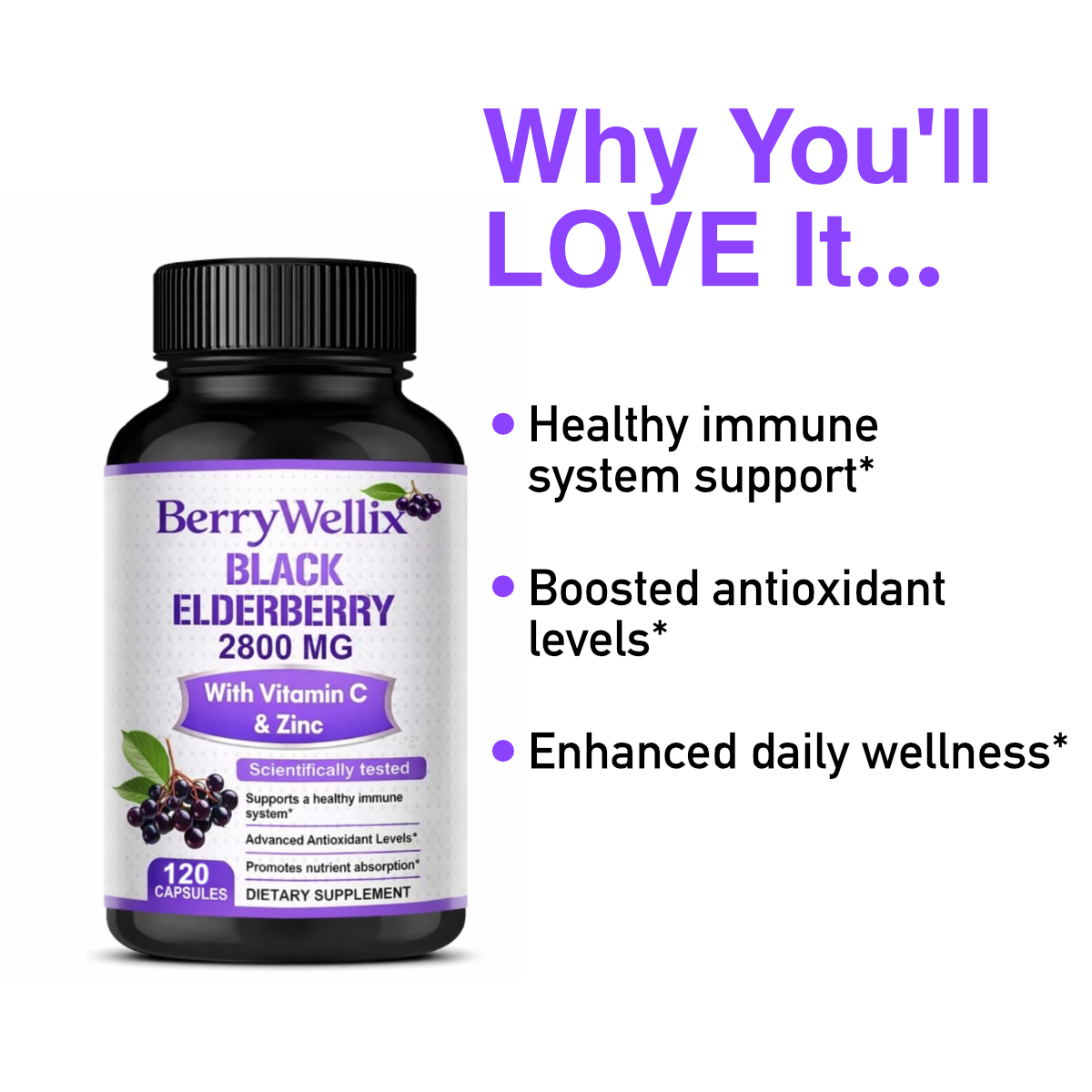 Black Elderberry